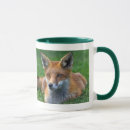 Recherche de de renard rouge tasses Renards