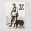 Recherche de chien de guerre cartes postales Soldat