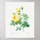 Recherche de fleurs jaunes posters Vintage
