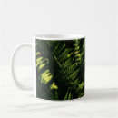 Recherche de fern tasses Photographie