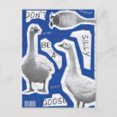 Recherche de oie cartes postales Oie stupide en liberté