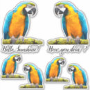 Recherche de parrot autocollants Anniversaire