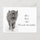 Recherche de loup dans la neige cartes postales Sauvage