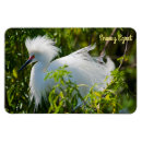 Recherche de neigeux magnets Oiseau