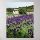 Recherche de iris van gogh posters Vincent