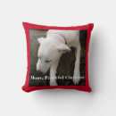 Recherche de faire une sieste coussins Fatigué