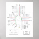 Recherche de infographic posters Diagramme