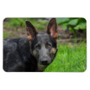 Recherche de allemand magnets Gsd