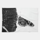 Recherche de papillon noir et blanc cuisine linges Nature