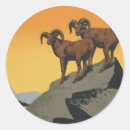 Recherche de mouflon autocollants Râpe