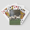 Recherche de arabe jeux de cartes Lingerie bob