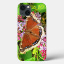 Recherche de photos de papillon coques Jardin d'agrément