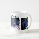 Recherche de frontière photographie Pour elle