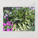 Recherche de veines cartes postales Toute personne