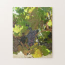 Recherche de vigne puzzles Vert