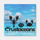 Recherche de crustacé magnets Océan