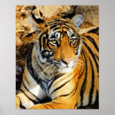 Recherche de voyage de chat art Animal