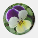 Recherche de viola magnete Panneaux