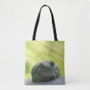 Recherche de grenouilles sacs Amphibien