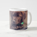 Recherche de puppy tasses Fenêtre