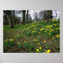 Recherche de st david posters Souillé