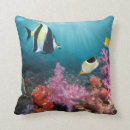 Recherche de récif coussins Plage
