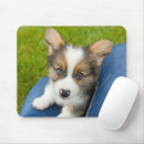 Recherche de corgi tapis souris Animal de compagnie