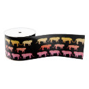 Recherche de tigre rubans Animaux