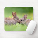 Recherche de lapin bébé tapis souris Printemps
