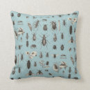 Recherche de scarabée de scarabée décoration coussins Entomologie