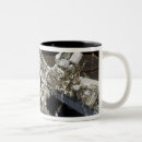 Recherche de bottes tasses Extérieur