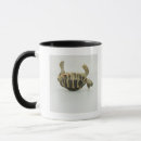 Recherche de coquille tortue tasses Échelles