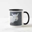 Recherche de humour chèvre tasses Animaux