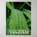 Recherche de humide posters Gouttelettes