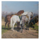 Recherche de poney carreaux Équestre