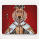 Recherche de teckels tapis souris Animaux