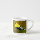 Recherche de tasse de café de chardonneret tasses Américain