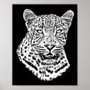 Recherche de snow leopard posters Gros chats