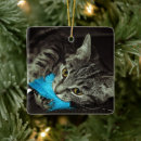 Recherche de tabby cat ornements Félin