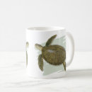 Recherche de tortue verte tasses Tortue de mer