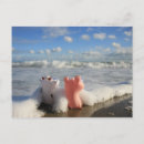 Recherche de cochons cartes postales Vache