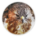 Recherche de oiseaux boutons et poignées de porte Faucon