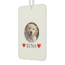 Recherche de chiens voiture accessoires Dogs