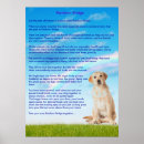 Recherche de perte de chien posters Chats