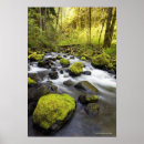 Recherche de brouillé posters Vertical