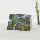 Recherche de muir vœux cartes Séquoias