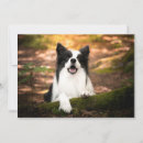 Recherche de purebreed vœux cartes Canine