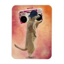 Recherche de caisson de basses Meerkat