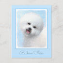 Recherche de chien de frise bichon cartes postales Blanc