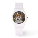 Recherche de beagle montres Chiot